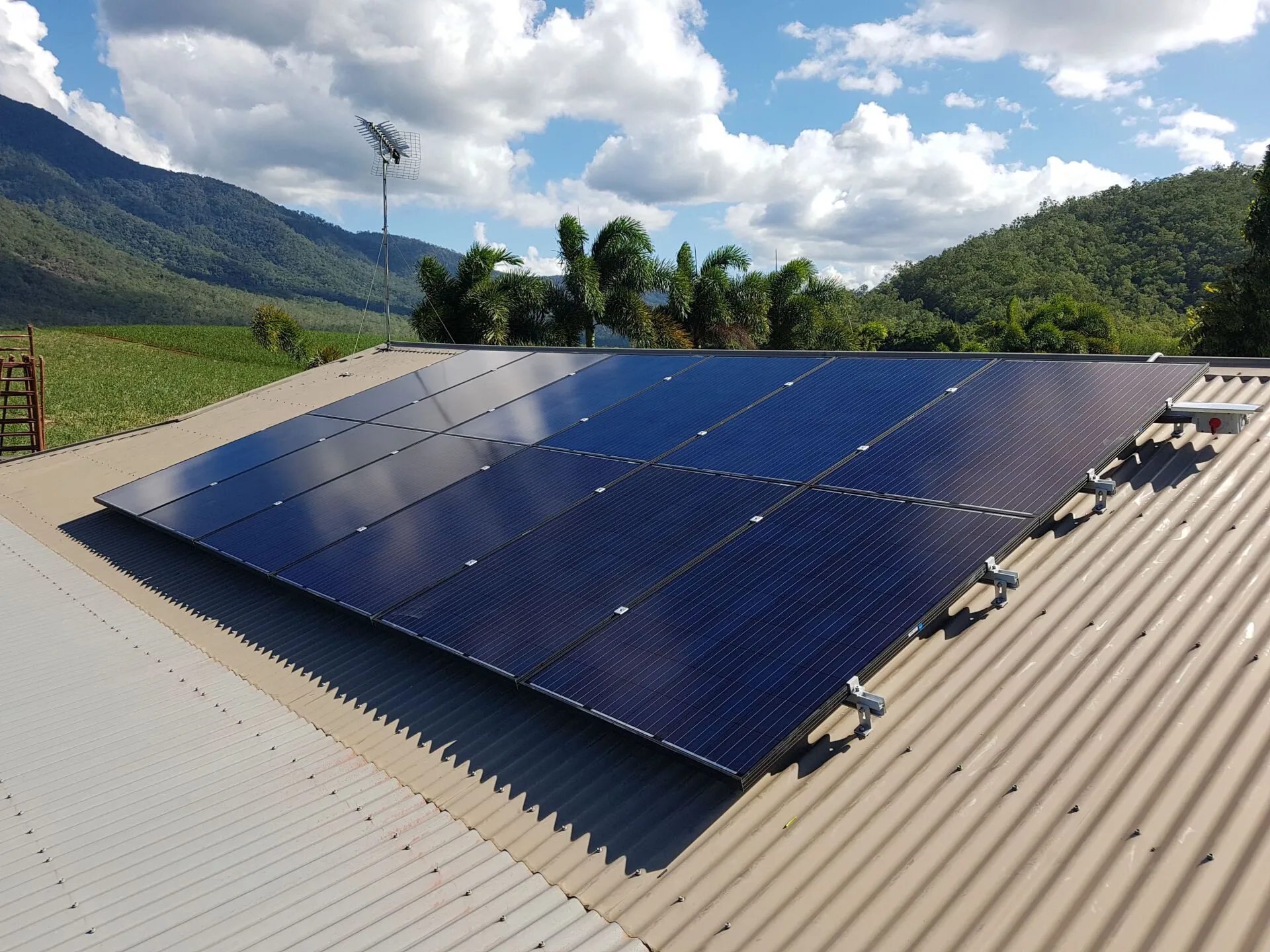 Jinko solar panels Townsville — tier-one Jinko panels installed on a tiled roof overlooking cane country